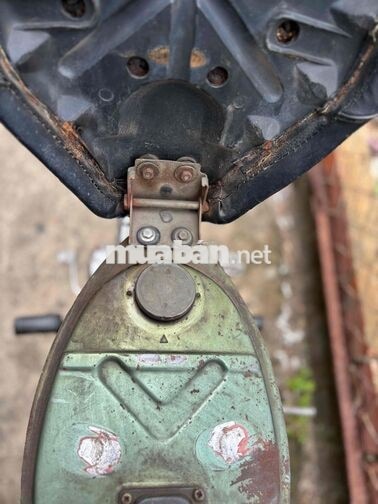 Honda Cub 81/50 Chính Chủ , Kim Vàng Giọt Lệ
