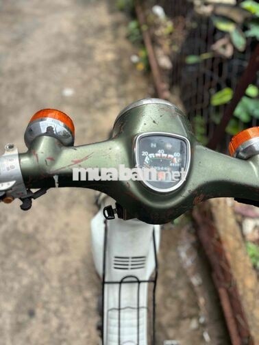Honda Cub 81/50 Chính Chủ , Kim Vàng Giọt Lệ