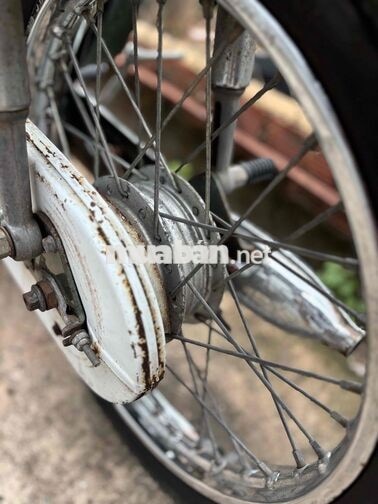 Honda Cub 81/50 Chính Chủ , Kim Vàng Giọt Lệ