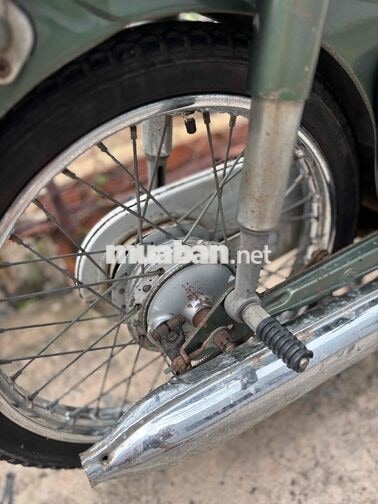 Honda Cub 81/50 Chính Chủ , Kim Vàng Giọt Lệ