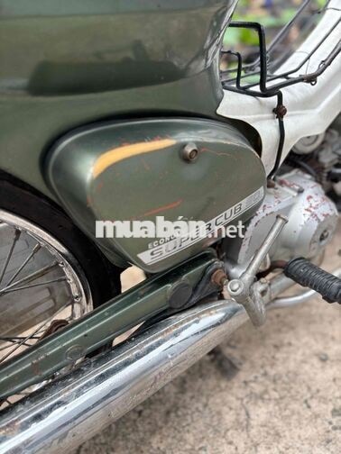 Honda Cub 81/50 Chính Chủ , Kim Vàng Giọt Lệ