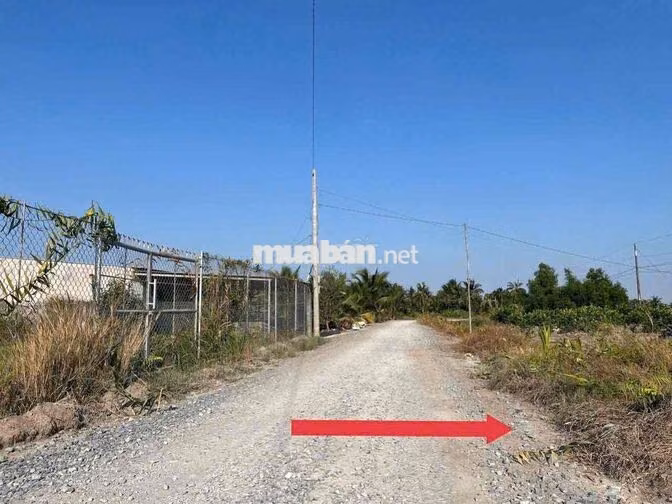 Đất vườn mặt tiền đường xe hơi 1215,6m2 rộng 21.3m chỉ 1.3 tỷ, Bến Lức