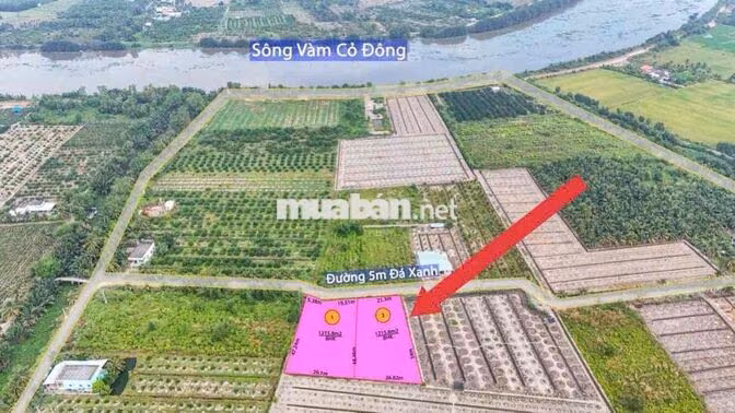 Đất vườn mặt tiền đường xe hơi 1215,6m2 rộng 21.3m chỉ 1.3 tỷ, Bến Lức