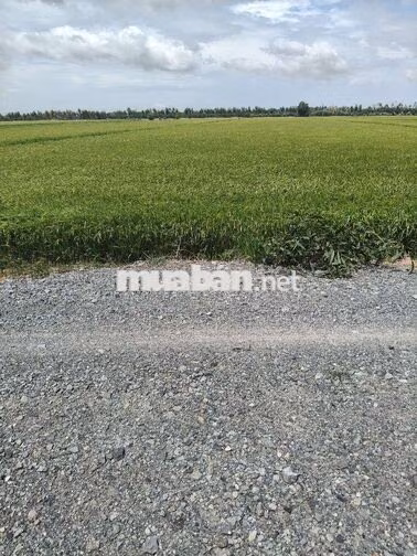 Đất 2 mặt tiền đường kênh lớn.