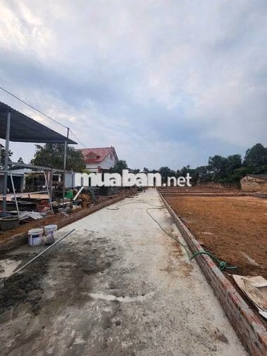 bán đất full tc tại; Thái Lai - Kim  Anh -Hà Nội (mới)