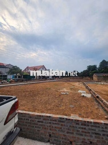 bán đất full tc tại; Thái Lai - Kim  Anh -Hà Nội (mới)