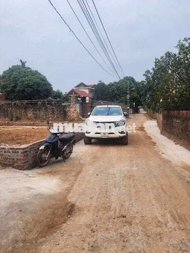 bán đất full tc tại; Thái Lai - Kim  Anh -Hà Nội (mới)