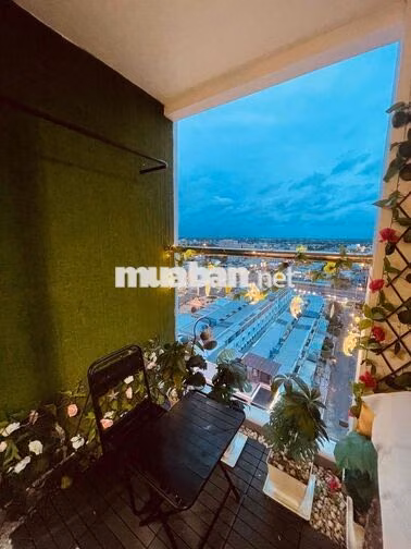Căn Hộ Studio Chung Cư Sophia Center KDT Phú Cường