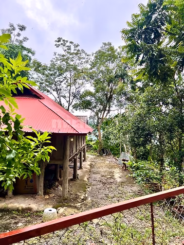 Bán khu nghỉ dưỡng view Hồ Hoà Bình