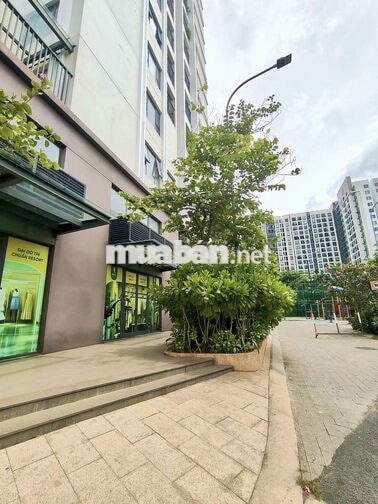 Chính chủ cho thuê MB RIÊNG BIỆT trong shophouse GÓC 2MT Picity giápGV