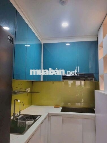 Cần cho thuê nhiều căn hộ tại Botanica premier- novaland