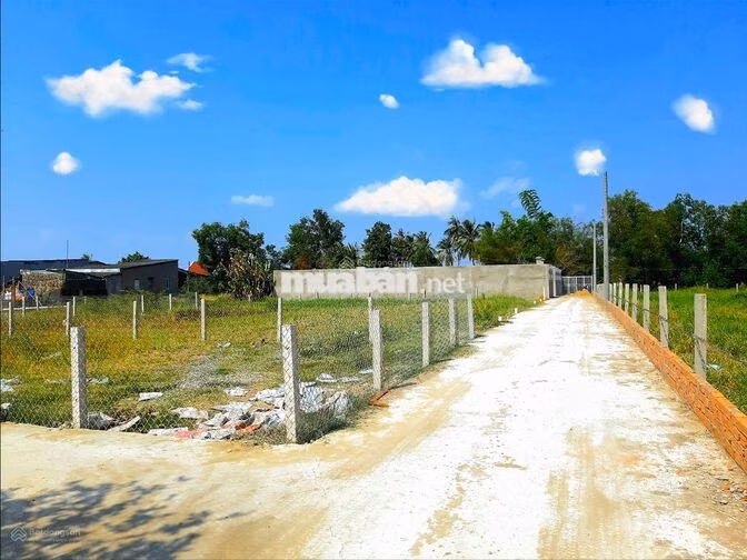 Chính chủ cần ra nhanh 300m2 đất CLN gần Ngã Tư Xoài Đôi.Cần Giuộc