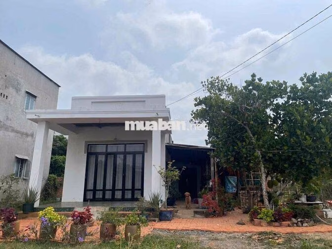 NHÀ VƯỜN 600M2 GIÁ 650 TRIỆU SIÊU ÊM TẠI BÌNH DƯƠNG!