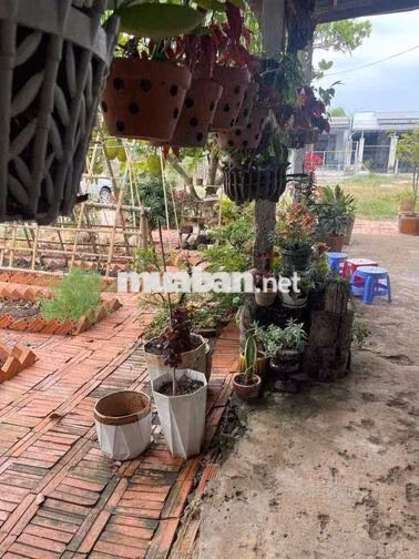 NHÀ VƯỜN 600M2 GIÁ 650 TRIỆU SIÊU ÊM TẠI BÌNH DƯƠNG!