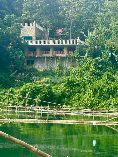 Bán khu nghỉ dưỡng view Hồ Hoà Bình