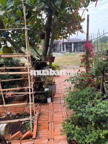 NHÀ VƯỜN 600M2 GIÁ 650 TRIỆU SIÊU ÊM TẠI BÌNH DƯƠNG!