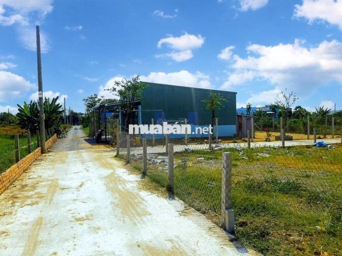 Chính chủ cần ra nhanh 300m2 đất CLN gần Ngã Tư Xoài Đôi.Cần Giuộc