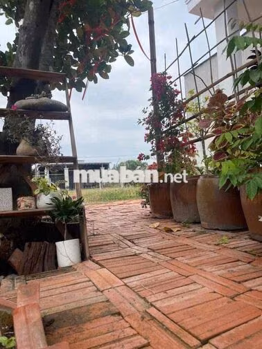NHÀ VƯỜN 600M2 GIÁ 650 TRIỆU SIÊU ÊM TẠI BÌNH DƯƠNG!