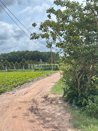5x25 full thổ. Đường ô tô. 195tr có TL