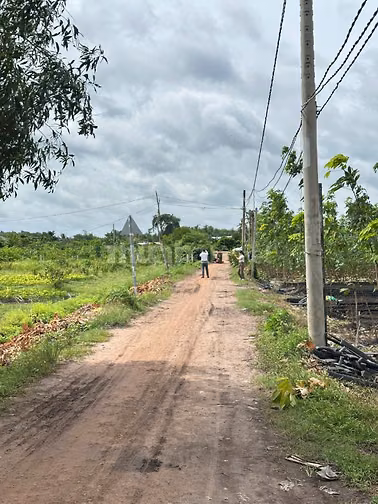 5x25 full thổ. Đường ô tô. 195tr có TL