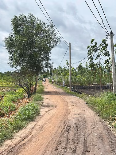 5x25 full thổ. Đường ô tô. 195tr có TL