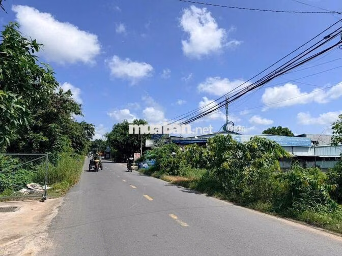 318m2 - MT BUÔN BÁN KINH DOANH (10X31M) CÓ THỔ CƯ, SHR