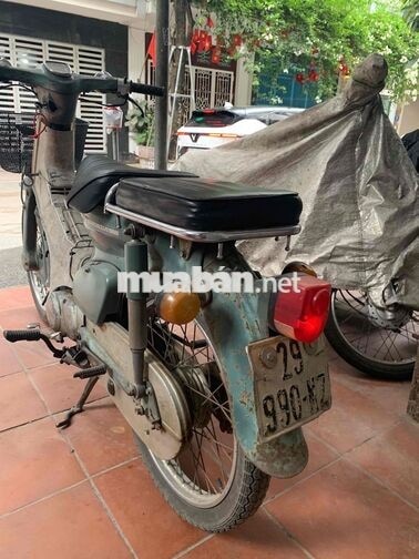 Honda Cub 81 50cc Xanh