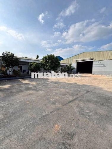 Cho Thuê Nhà Xưởng Tại Hiệp Bình Phước. dt: 1650m Giá 115tr container 