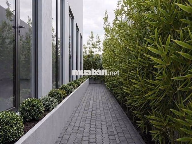 Rẻ nhất bình thạnh chỉ có 102 các phí dv đang được free năm đầu