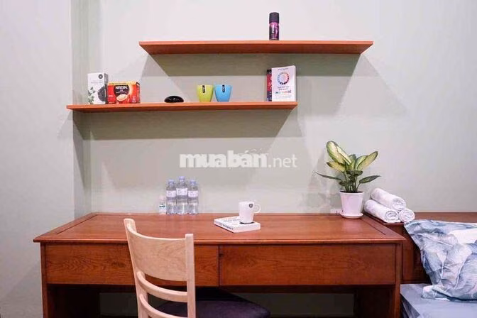 🎀CĂN HỘ DẠNG STUDIO CỬA SỔ TRỜI FULL NỘI THẤT - CÓ THANG MÁY