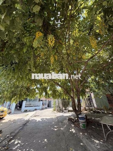 Bán Nhà Cấp 4 Hoà Thọ Tây Kiệt ô tô quay đầu