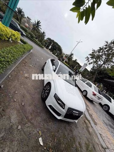Audi A4 2011 Trắng