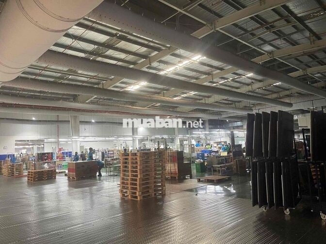 KHO CONCUNG DĨ AN TUYỂN LĐPT XOAY CA / CỐ ĐỊNH CA