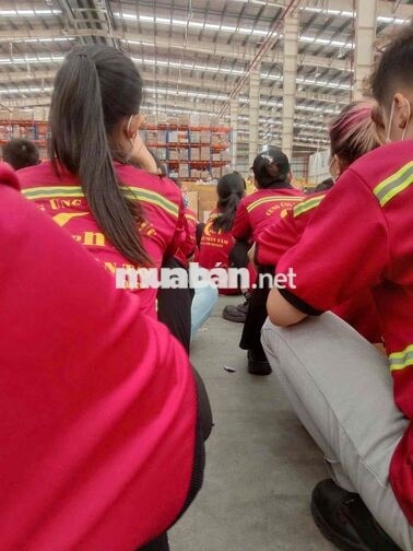 KHO CONCUNG DĨ AN TUYỂN LĐPT XOAY CA / CỐ ĐỊNH CA