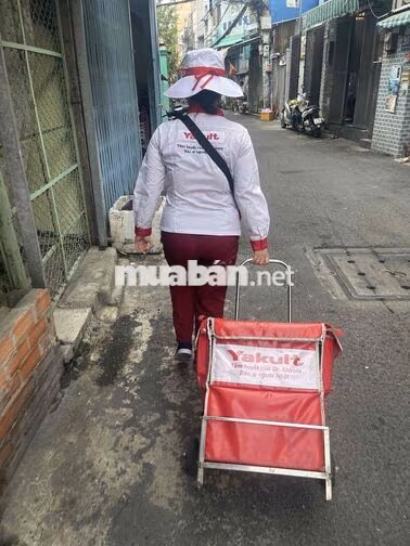 Tuyển dụng các chị nữ bán sữa Yakult tại quận 6