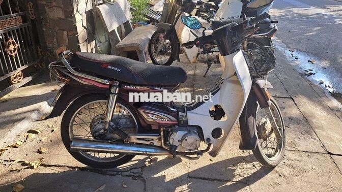 Honda Dream 2002 Nâu Cổ điển