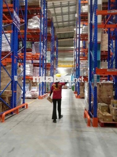 KHO CONCUNG DĨ AN TUYỂN LĐPT XOAY CA / CỐ ĐỊNH CA