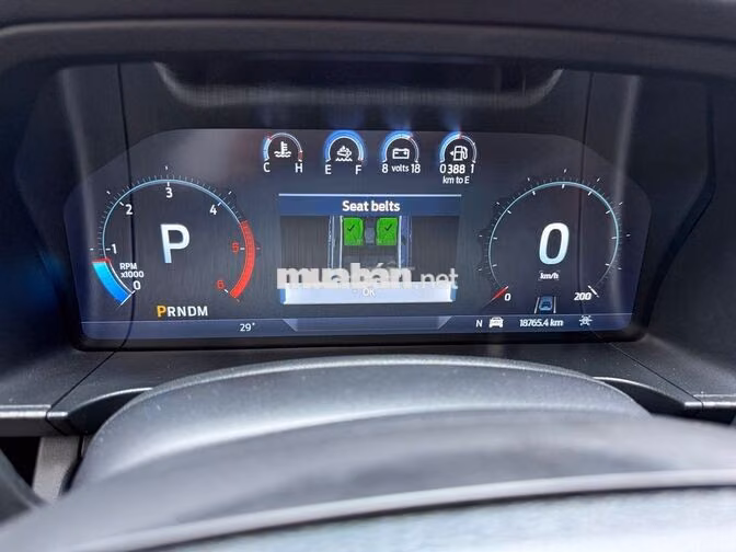 Ford Raptor 2024 Xám 18.000 km