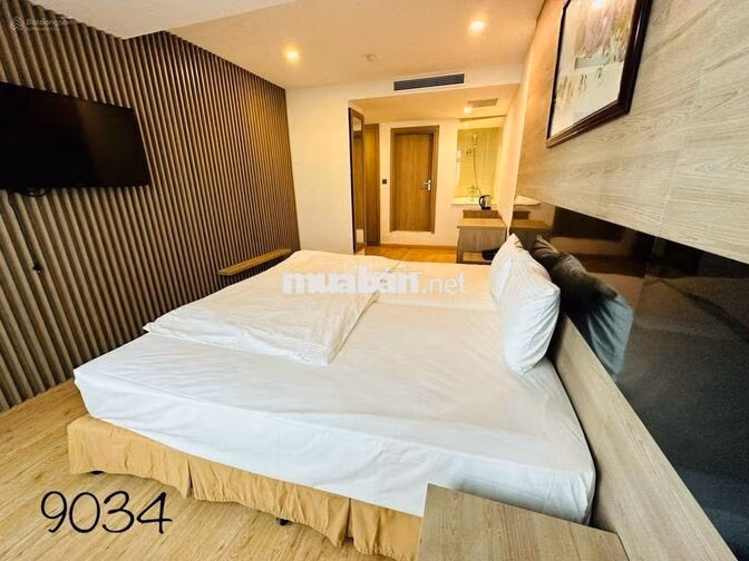 ( HOT ) Cho Thuê Studio Mường Thanh Viễn Triều Chỉ Từ 7 Triệu / Tháng