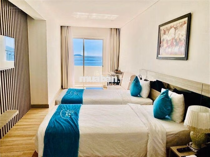( HOT ) Cho Thuê Studio Mường Thanh Viễn Triều Chỉ Từ 7 Triệu / Tháng