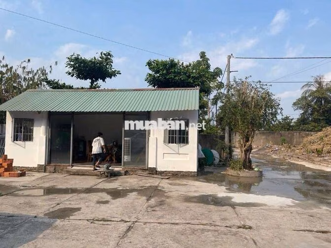 CHÍNH CHỦ CHO THUÊ NHÀ XƯỞNG 1350M2 ĐƯỜNG CON GIÁ TỐT