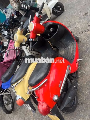 Scoopy 50cc Ld Đỏ Vàng