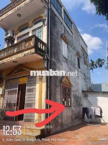 Bán đất thổ cư chính chủ LỰC CANH,ĐÔNG ANH , HÀ NỘI