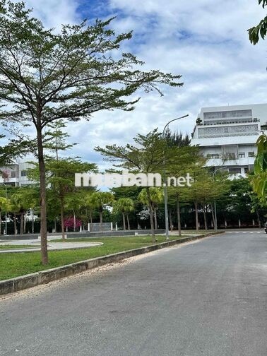 Cần cho thuê nguyên căn nhà sân vườn