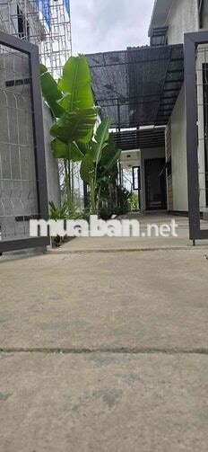 Cần cho thuê nguyên căn nhà sân vườn