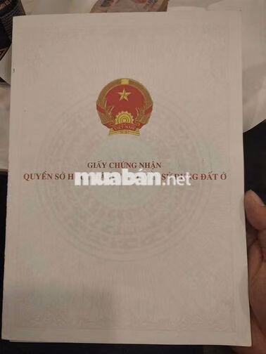 Nhà Trần Văn Đang ngay Trường Sa phường Nhiêu Lộc hạ 500tr bán gấp