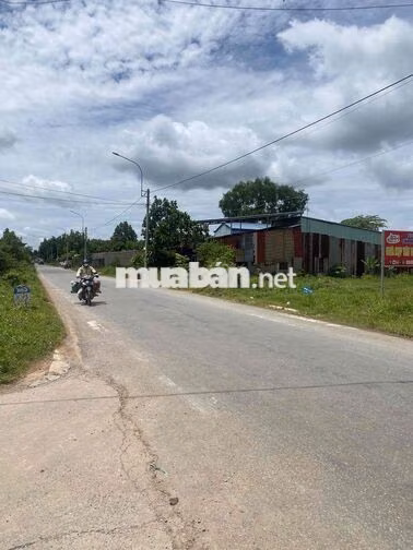 chú 3 bán gấp 1279m2 đất lúa kế vinghomes Hậu nghĩa - Shr