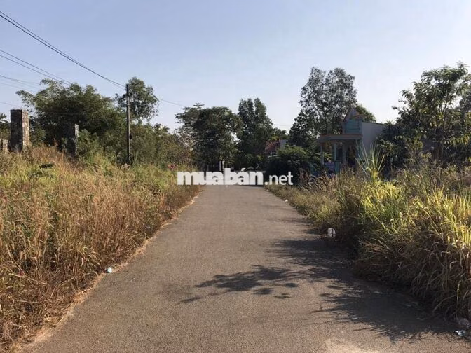 Bán Đất lớn 3.5ha, 3 Mặt tiền đường Nội Bài Châu Pha