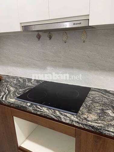 CHO THUÊ CĂN 3N-2WC Capital Elite Phạm Hùng