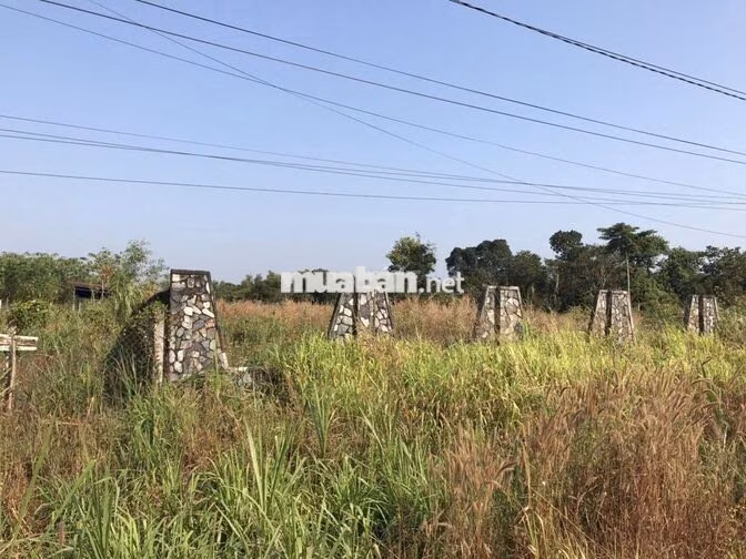 Bán Đất lớn 3.5ha, 3 Mặt tiền đường Nội Bài Châu Pha
